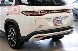 بي واي دي سونغ L DM-i